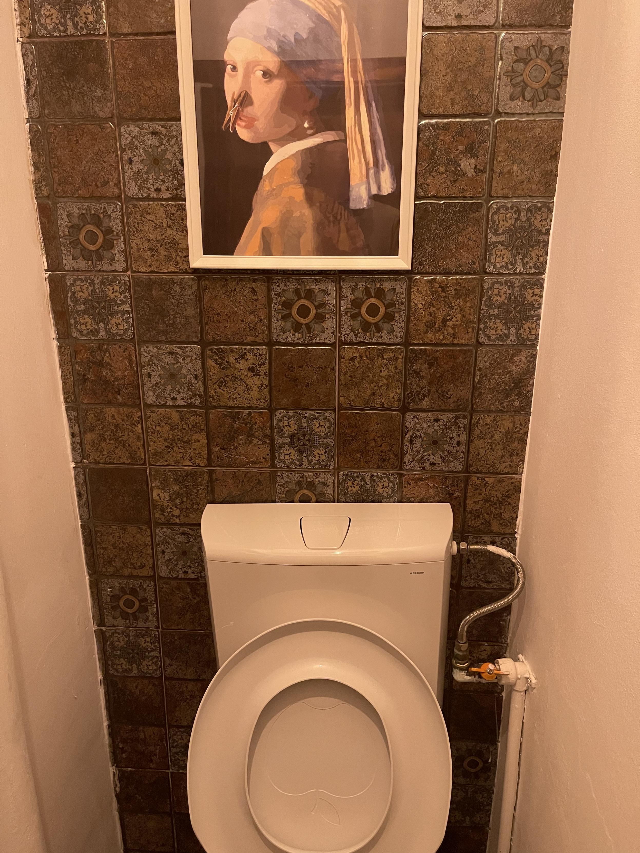 photograph of a bathroom featuring an ersatz “Girl with Pearl Earring” painting, with the girl wearing a clothespin on her nose.